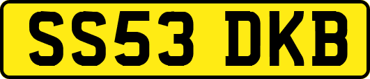 SS53DKB