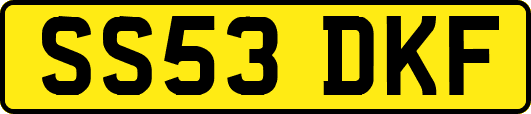 SS53DKF