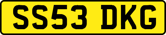 SS53DKG