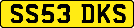 SS53DKS
