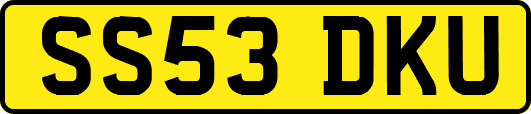 SS53DKU