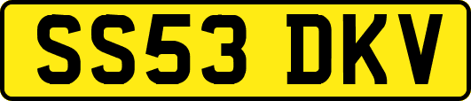 SS53DKV