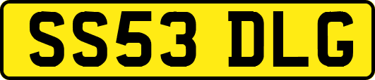 SS53DLG