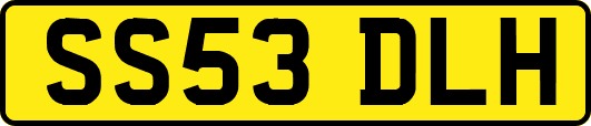 SS53DLH
