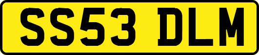 SS53DLM