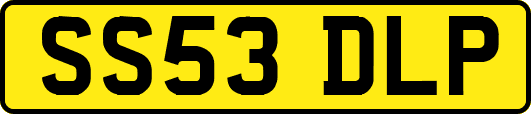 SS53DLP