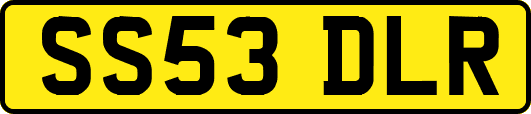 SS53DLR