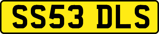 SS53DLS