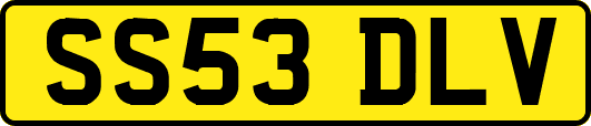 SS53DLV