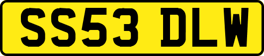 SS53DLW