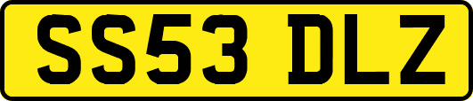 SS53DLZ
