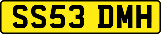 SS53DMH