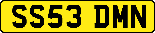 SS53DMN