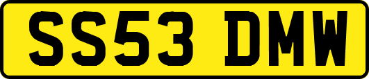 SS53DMW