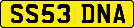 SS53DNA