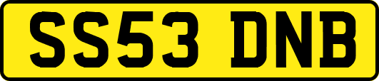 SS53DNB