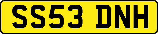SS53DNH