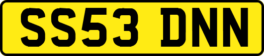 SS53DNN