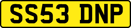 SS53DNP