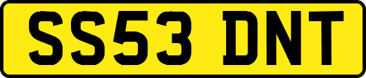 SS53DNT