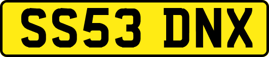 SS53DNX