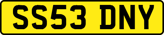 SS53DNY