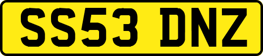 SS53DNZ