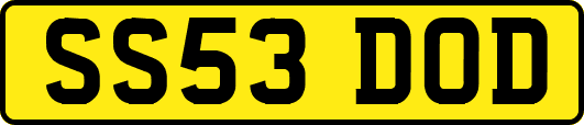 SS53DOD