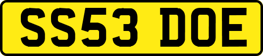 SS53DOE