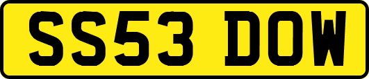 SS53DOW
