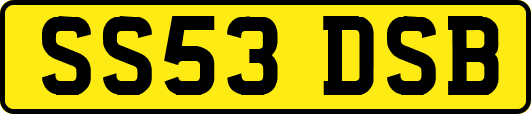 SS53DSB