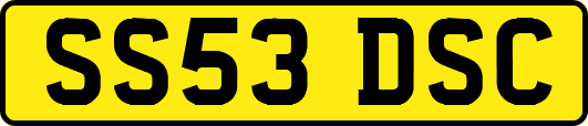 SS53DSC