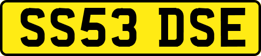SS53DSE