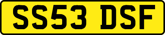 SS53DSF