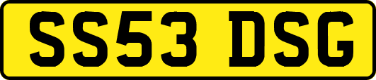 SS53DSG