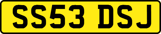 SS53DSJ