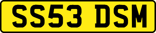 SS53DSM