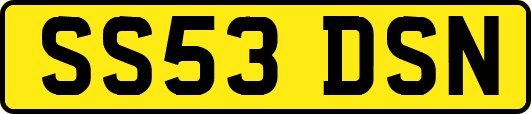 SS53DSN