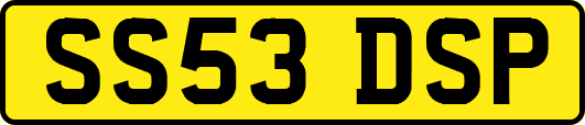 SS53DSP
