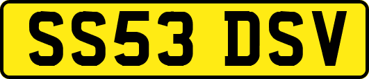 SS53DSV
