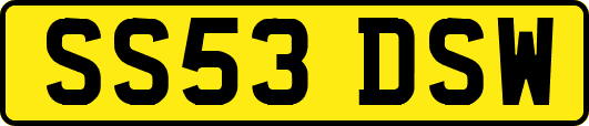 SS53DSW
