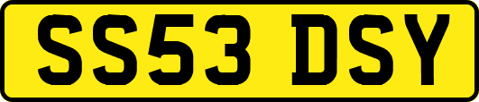 SS53DSY
