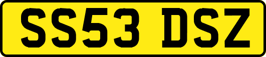 SS53DSZ