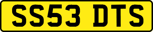 SS53DTS