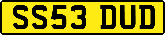 SS53DUD