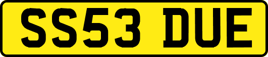 SS53DUE