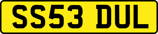SS53DUL