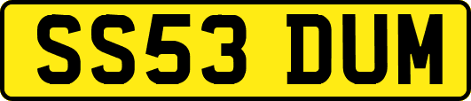 SS53DUM