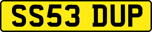 SS53DUP