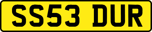 SS53DUR